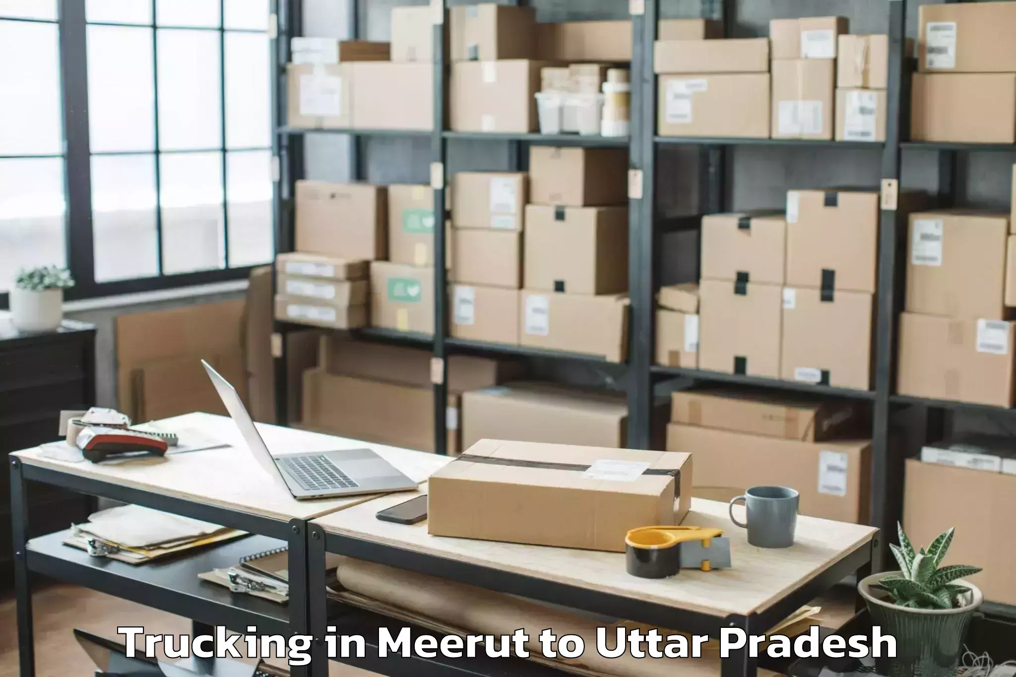 Affordable Meerut to Maharishi University Lucknow Trucking